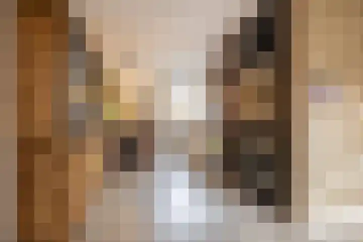 De Stringen 22 Hallum thumbnail 12