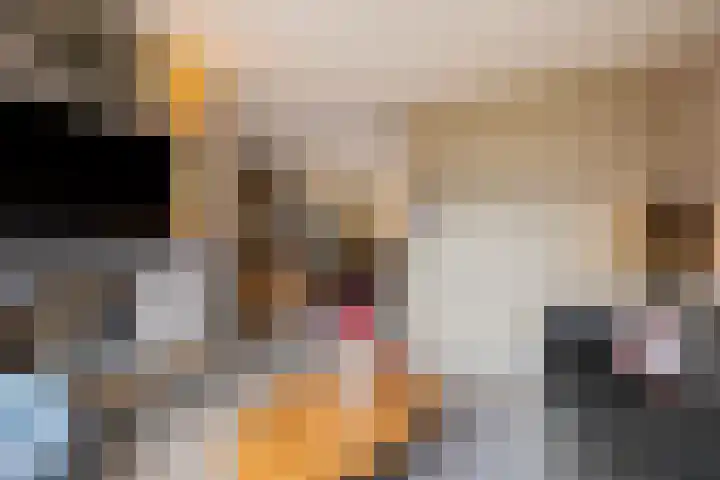 De Stringen 22 Hallum thumbnail 16