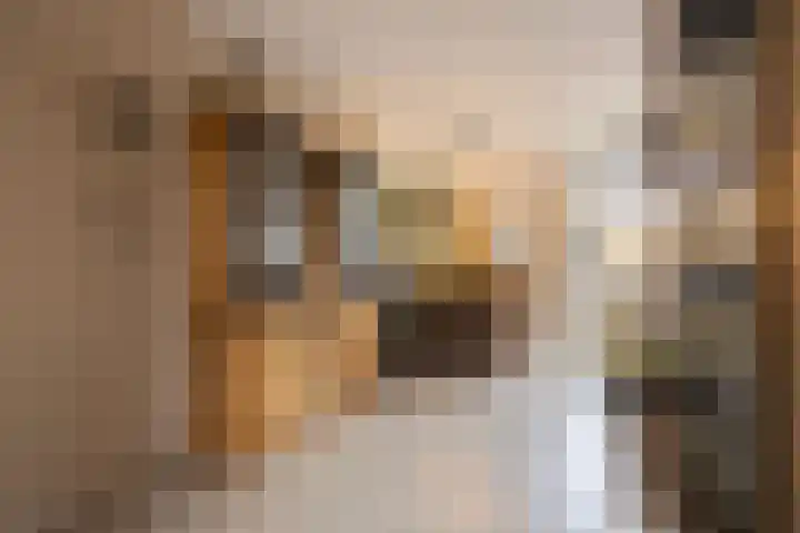 De Stringen 22 Hallum thumbnail 17