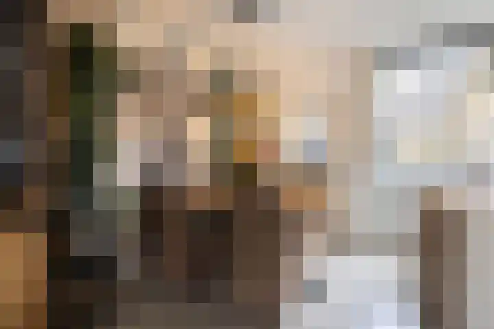 De Stringen 22 Hallum thumbnail 18