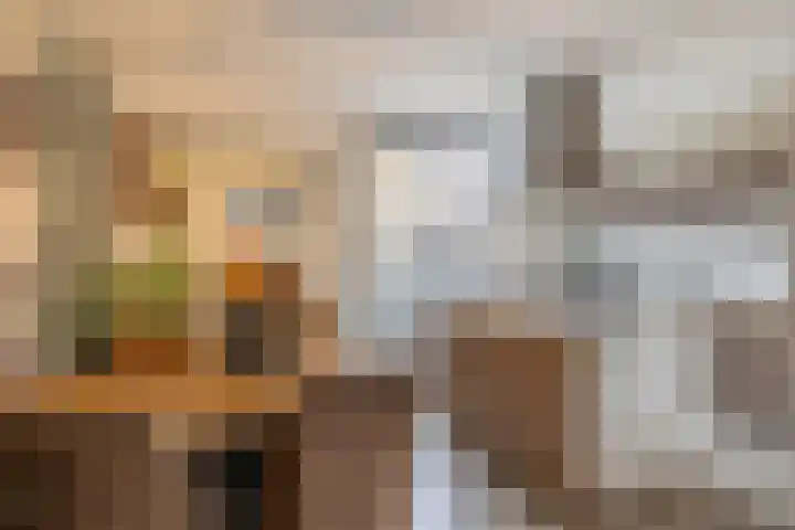 De Stringen 22 Hallum thumbnail 19