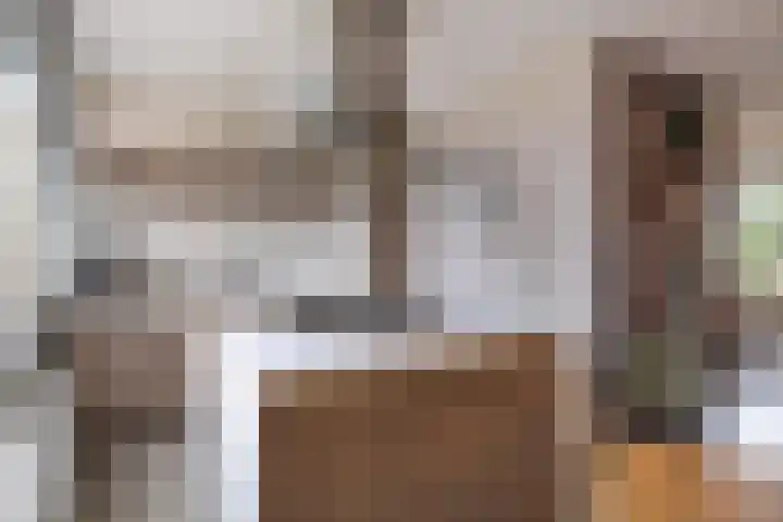 De Stringen 22 Hallum thumbnail 20