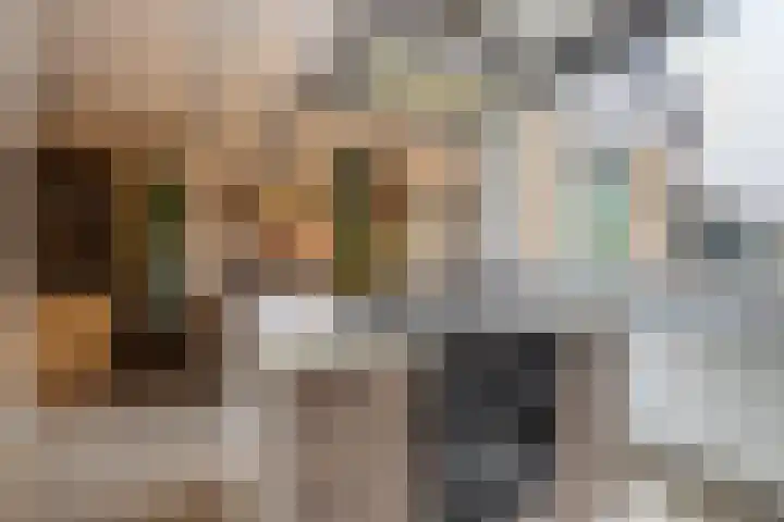 De Stringen 22 Hallum thumbnail 22