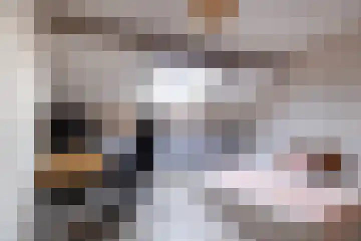 De Stringen 22 Hallum thumbnail 27