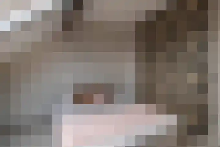 De Stringen 22 Hallum thumbnail 28