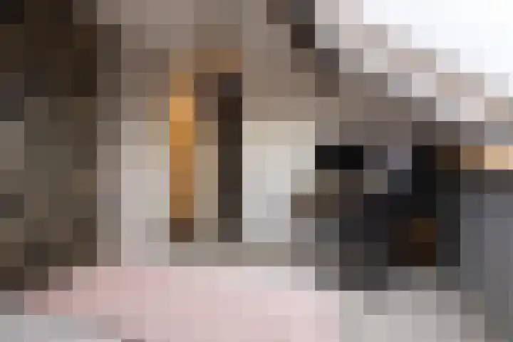 De Stringen 22 Hallum thumbnail 29