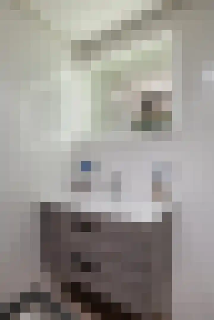 De Stringen 22 Hallum thumbnail 31