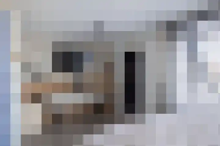 De Stringen 22 Hallum thumbnail 34