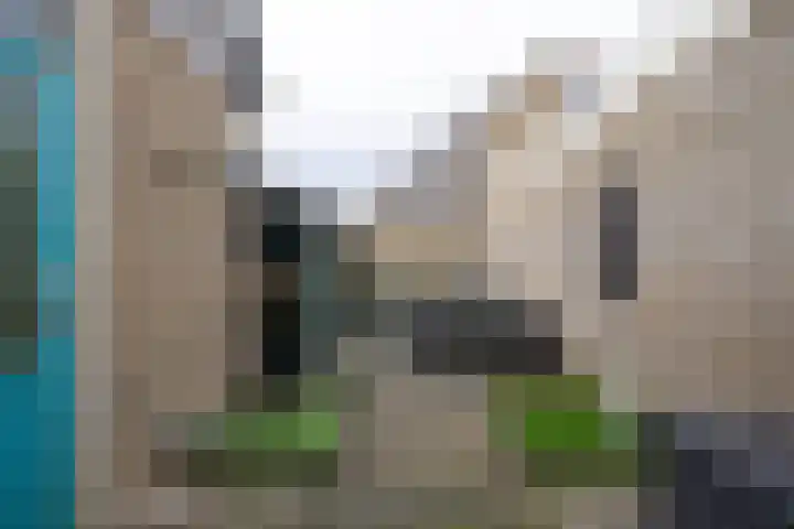 De Stringen 22 Hallum thumbnail 35