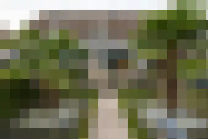 De Stringen 22 Hallum thumbnail 8