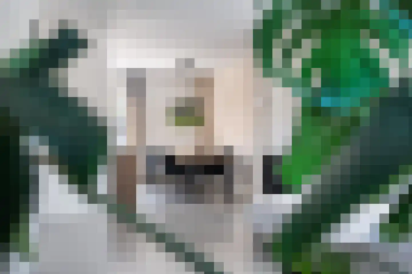 de Stringen 25 A Nieuwehorne thumbnail 12