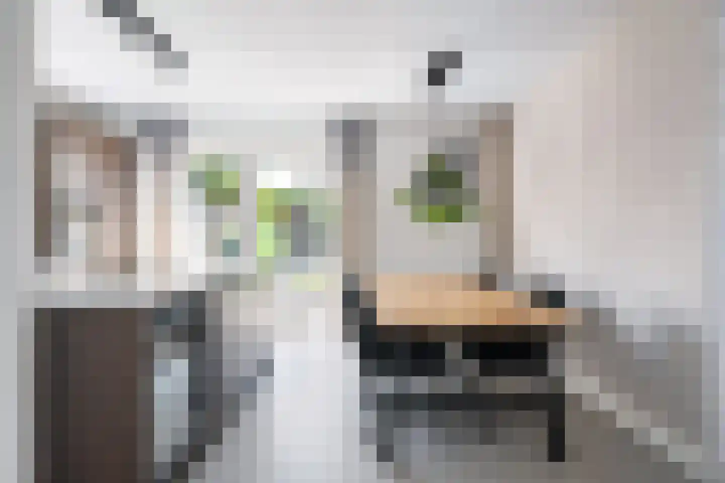 de Stringen 25 A Nieuwehorne thumbnail 13