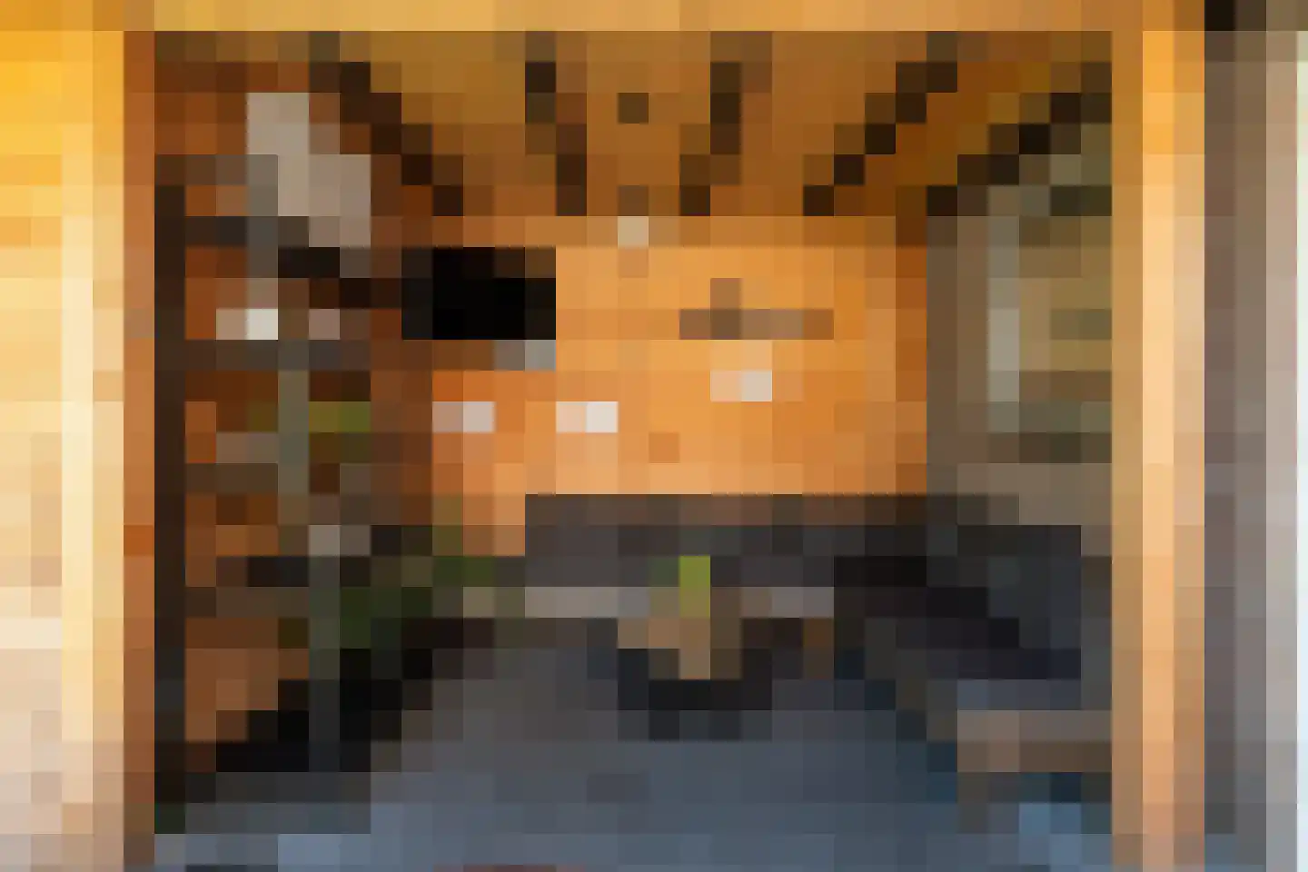 de Stringen 25 A Nieuwehorne thumbnail 27