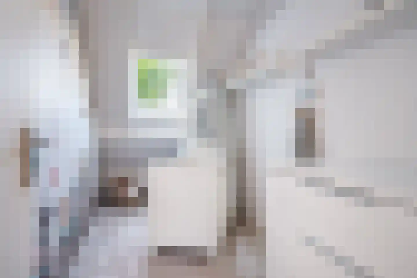 de Stringen 25 A Nieuwehorne thumbnail 31