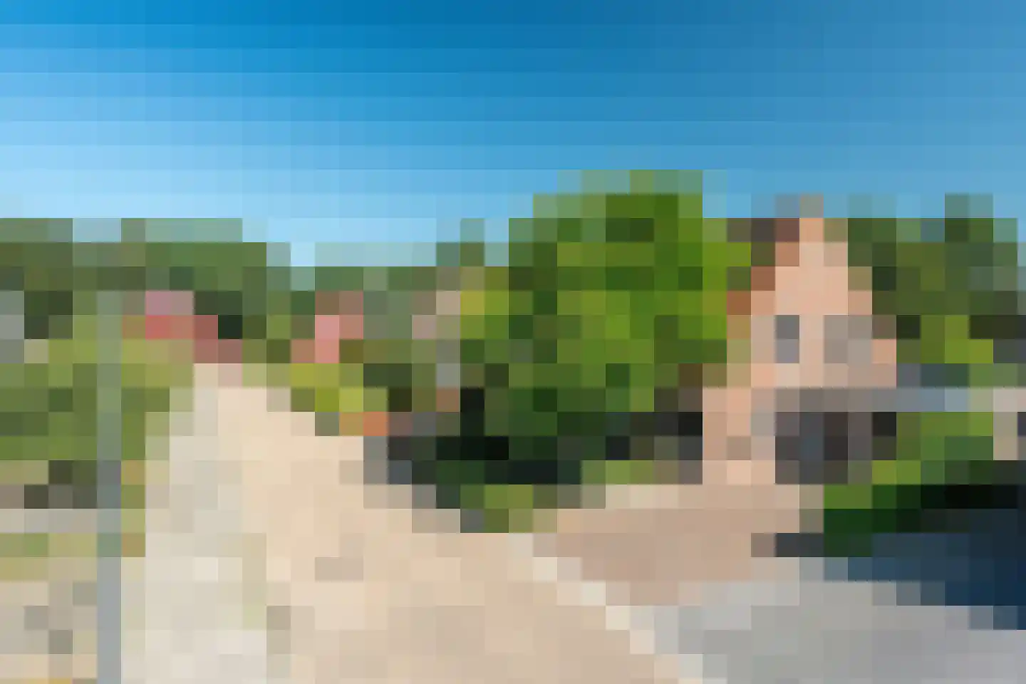 de Stringen 25 A Nieuwehorne thumbnail 4