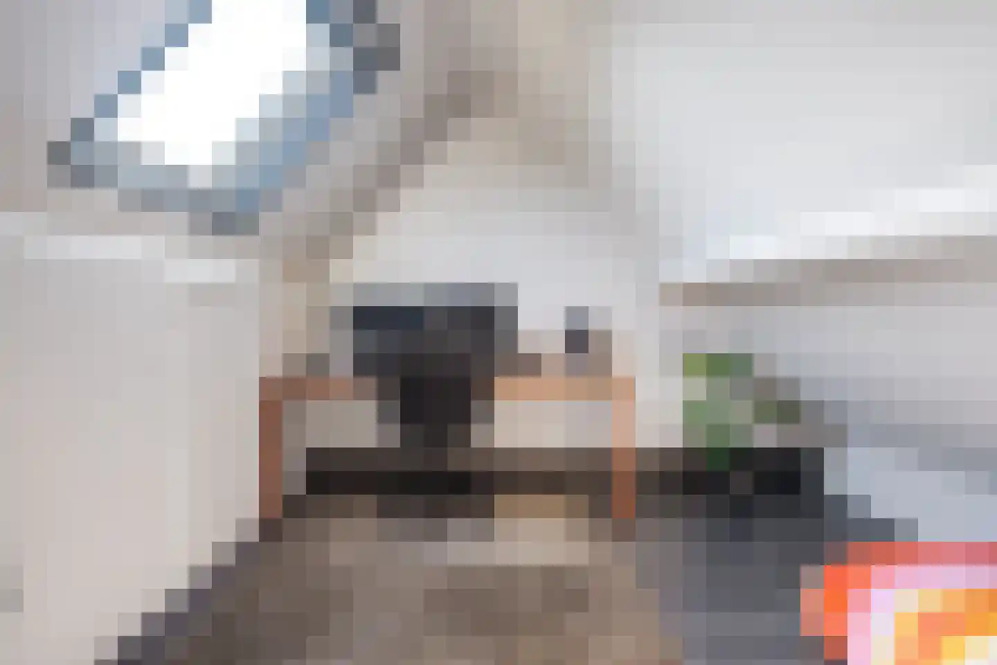 de Stringen 25 A Nieuwehorne thumbnail 40