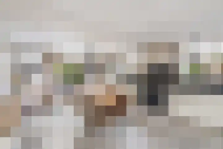 de Stringen 27 Nieuwehorne thumbnail 12
