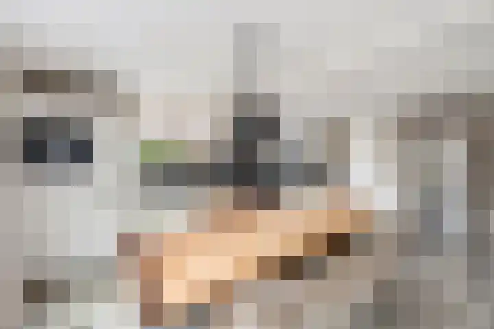 de Stringen 27 Nieuwehorne thumbnail 13