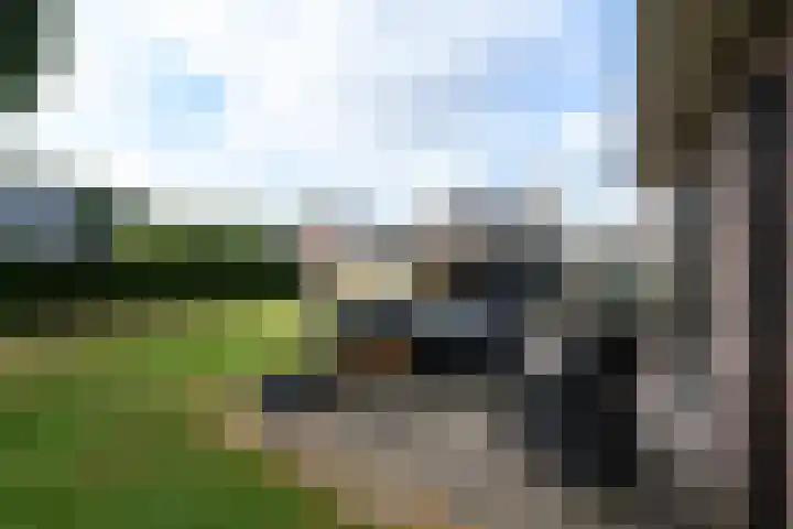 de Stringen 27 Nieuwehorne thumbnail 38
