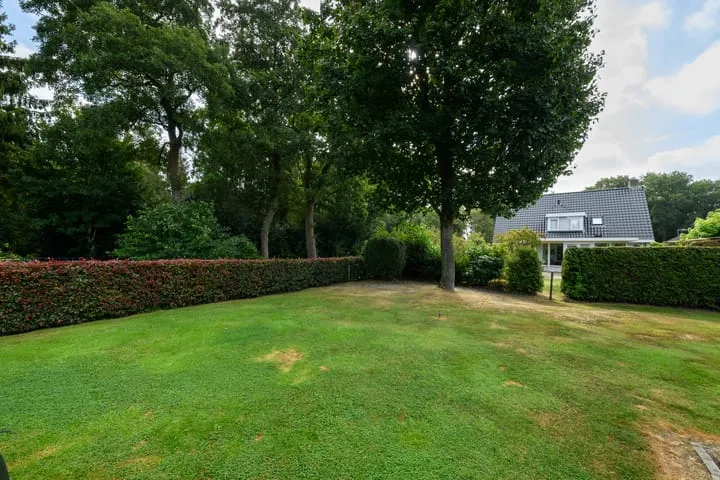 de Stringen 27 Nieuwehorne thumbnail 45