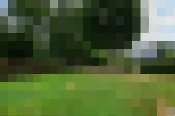 de Stringen 27 Nieuwehorne thumbnail 45