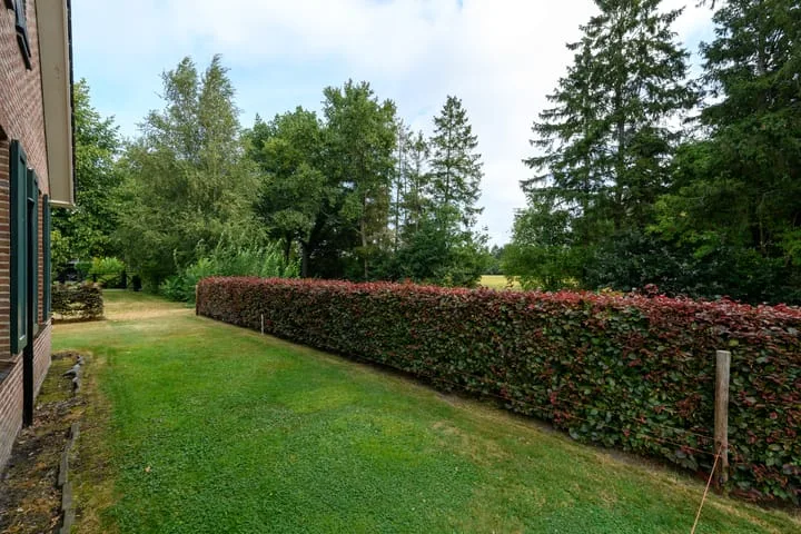de Stringen 27 Nieuwehorne thumbnail 46