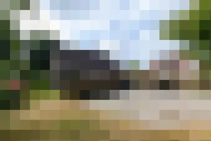 de Stringen 27 Nieuwehorne thumbnail 47