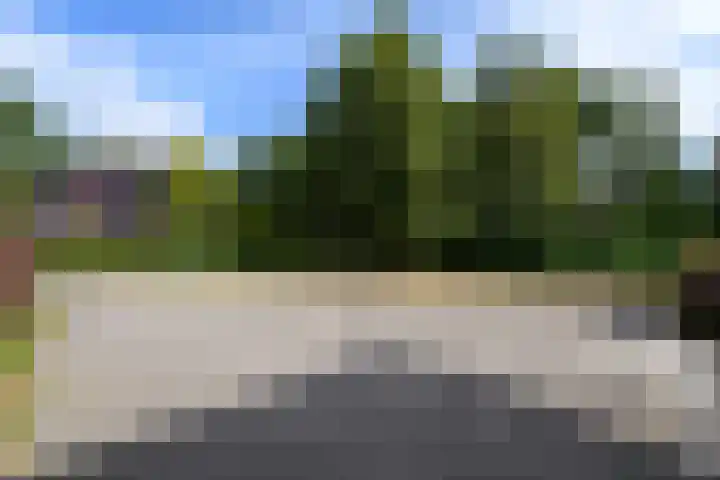 de Stringen 27 Nieuwehorne thumbnail 51