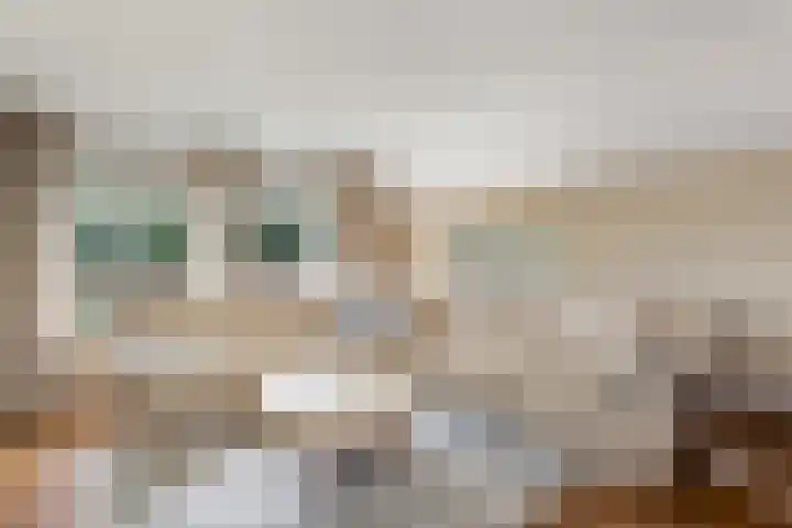 de Stringen 27 Nieuwehorne thumbnail 9