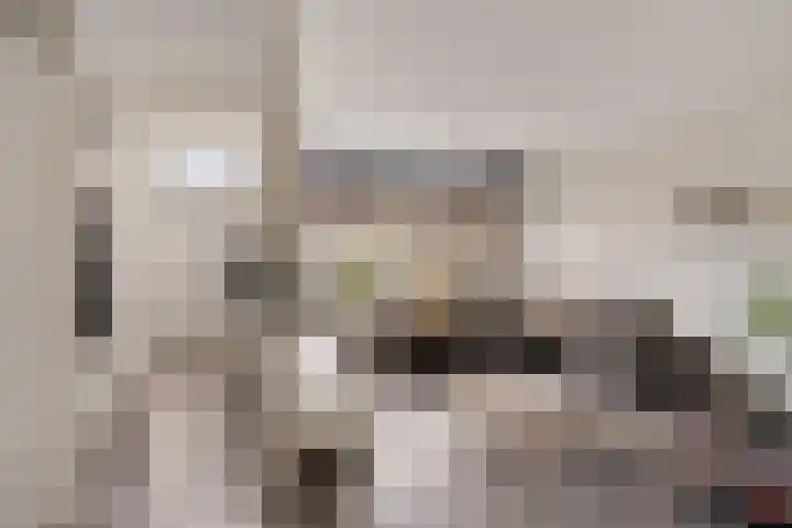 De Stringen 30 Hallum thumbnail 10