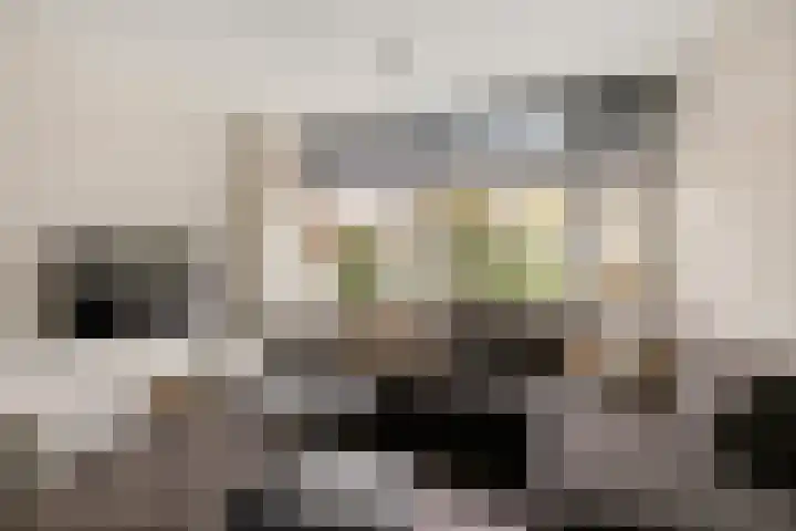 De Stringen 30 Hallum thumbnail 12