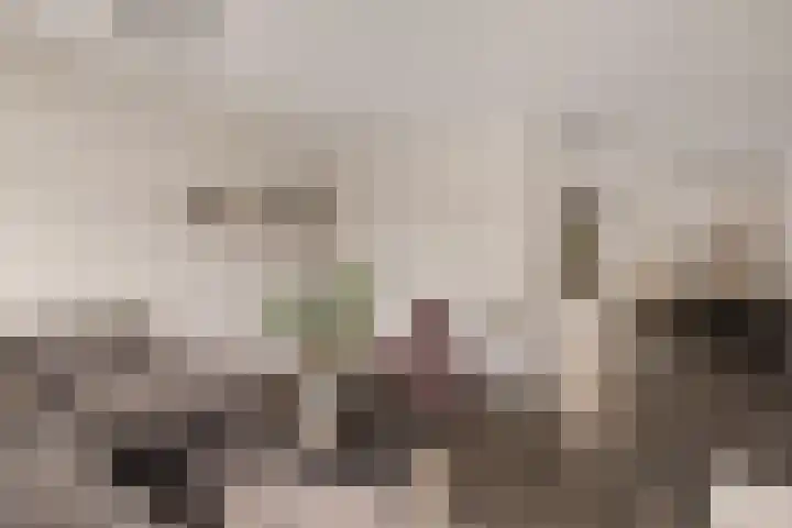De Stringen 30 Hallum thumbnail 13