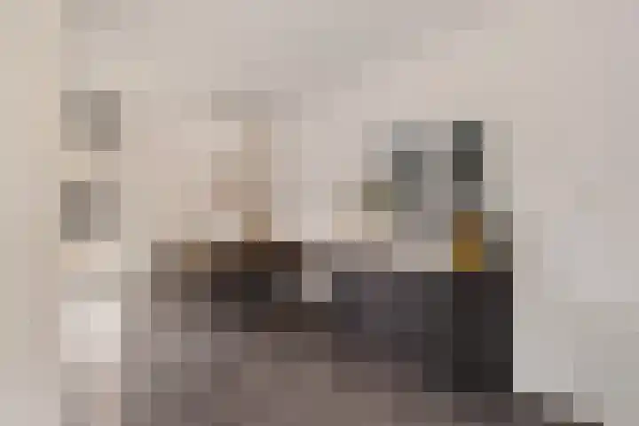 De Stringen 30 Hallum thumbnail 14