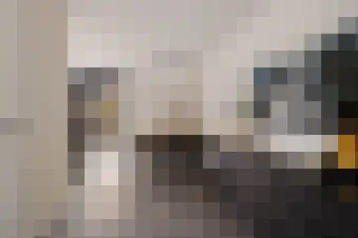 De Stringen 30 Hallum thumbnail 15