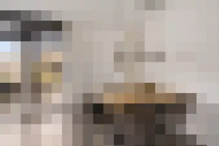 De Stringen 30 Hallum thumbnail 16