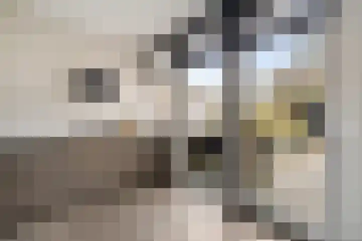 De Stringen 30 Hallum thumbnail 17