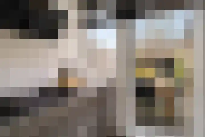 De Stringen 30 Hallum thumbnail 18