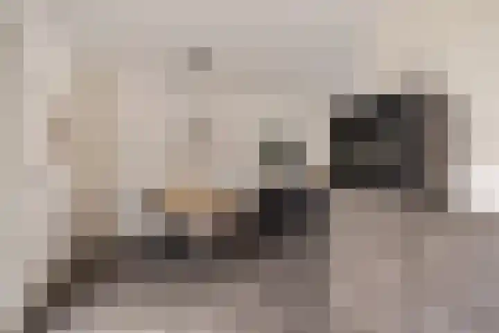 De Stringen 30 Hallum thumbnail 19