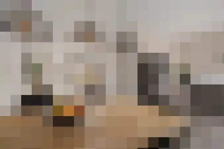 De Stringen 30 Hallum thumbnail 20