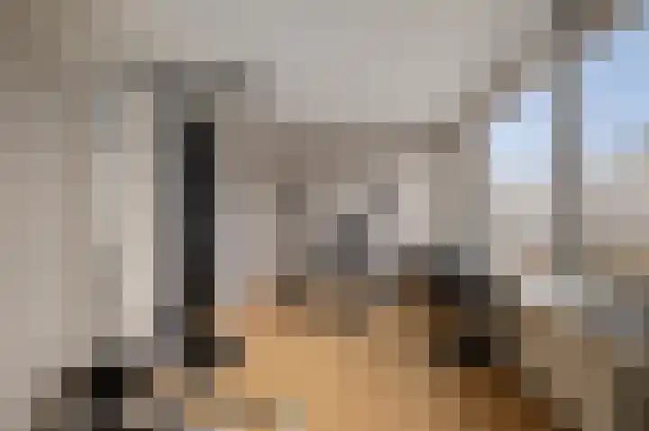 De Stringen 30 Hallum thumbnail 24