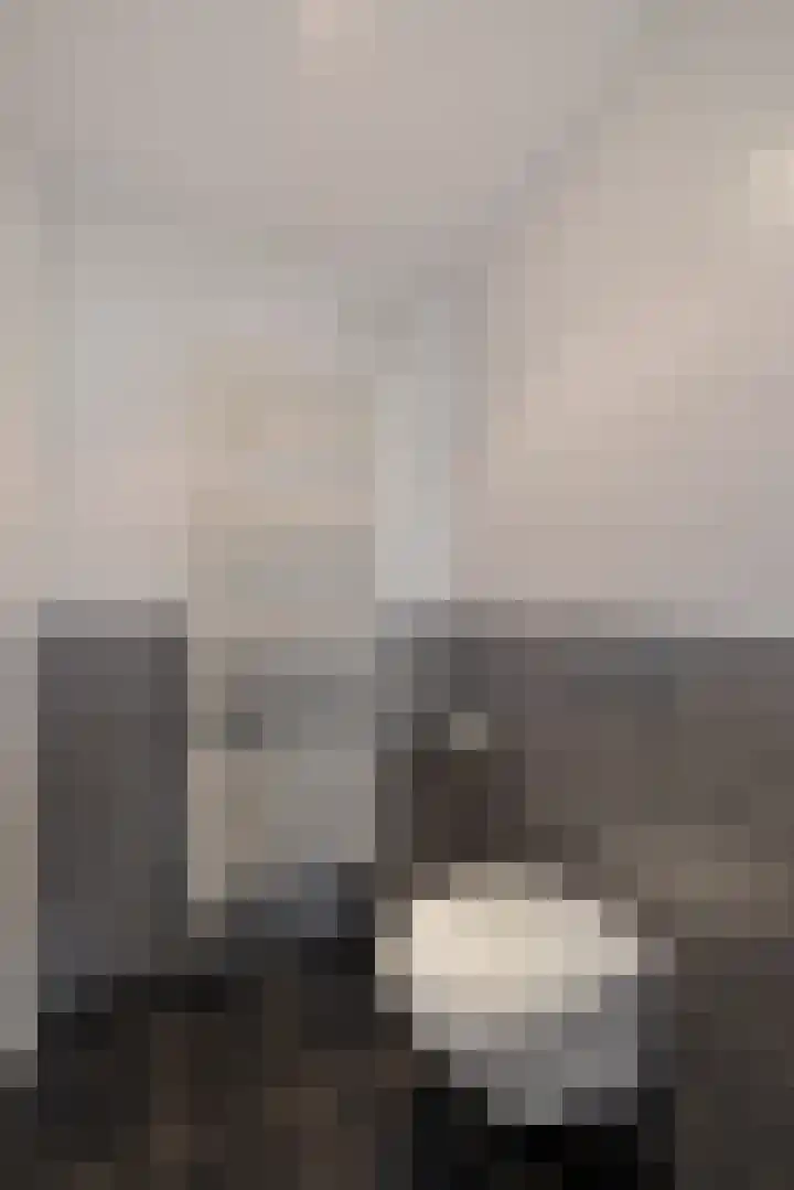 De Stringen 30 Hallum thumbnail 29