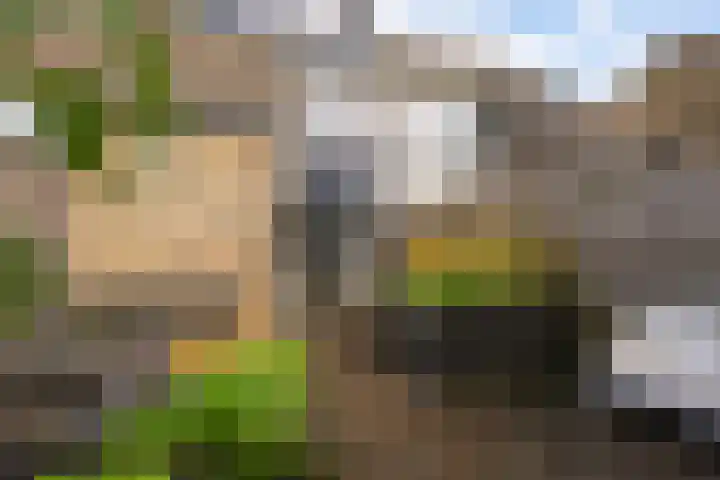 De Stringen 30 Hallum thumbnail 35