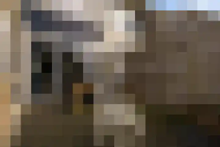 De Stringen 30 Hallum thumbnail 36