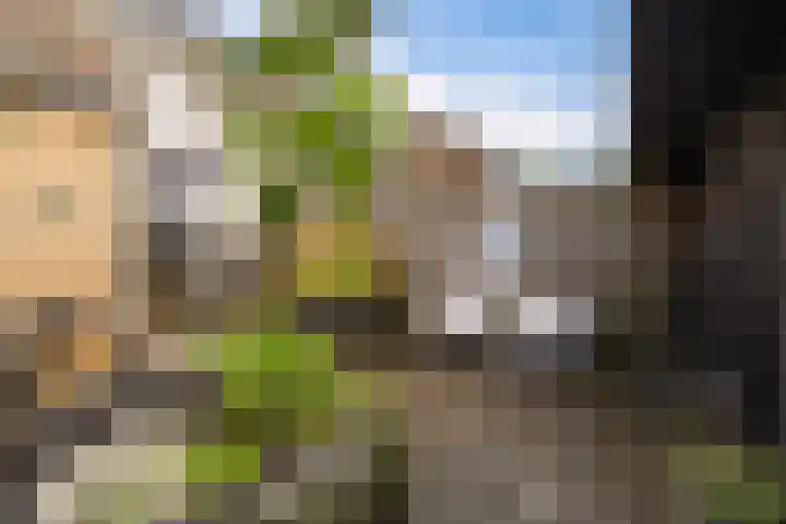De Stringen 30 Hallum thumbnail 39