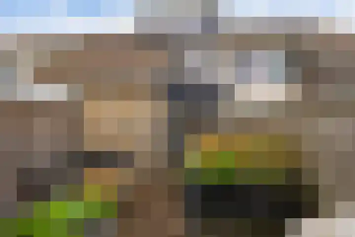 De Stringen 30 Hallum thumbnail 40