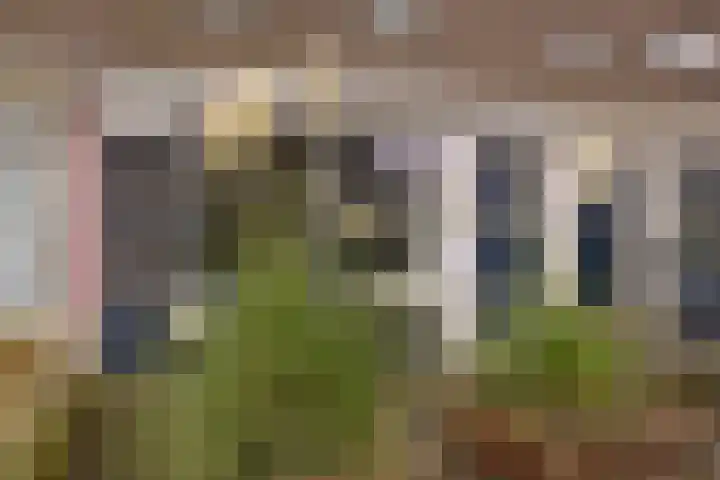 De Stringen 30 Hallum thumbnail 42