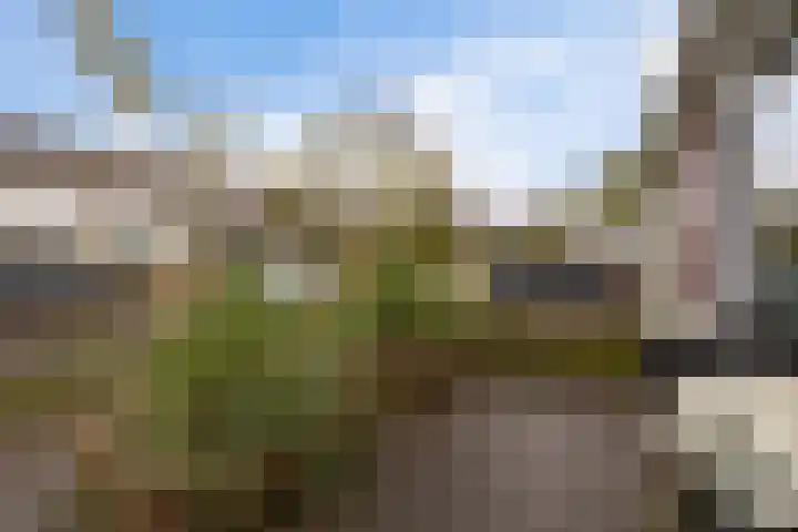 De Stringen 30 Hallum thumbnail 43