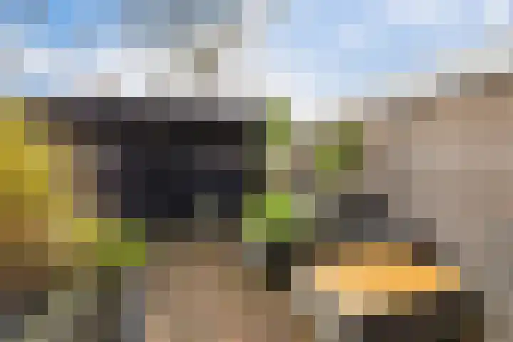 De Stringen 30 Hallum thumbnail 5