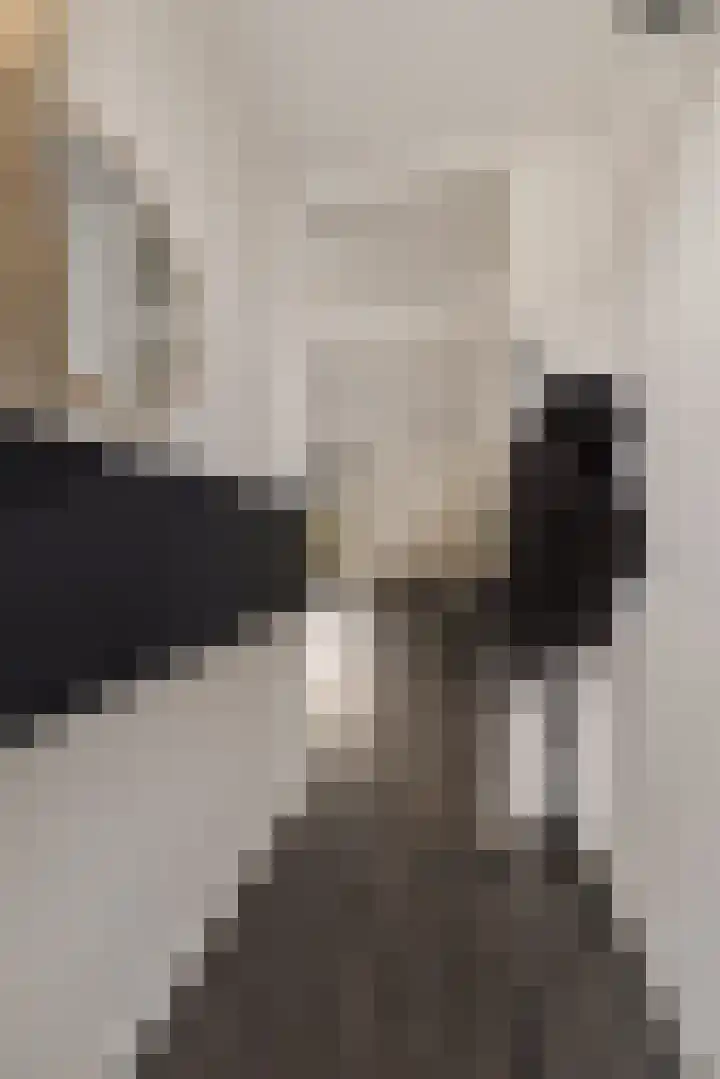 De Stringen 30 Hallum thumbnail 8