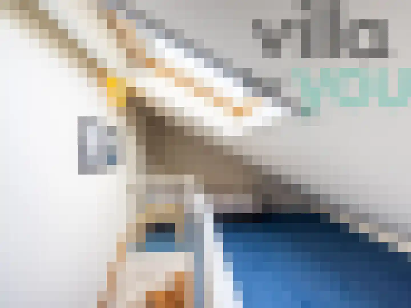 De Stringen 30 Koudum thumbnail 14